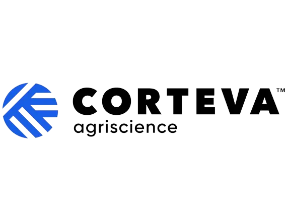 logo 13