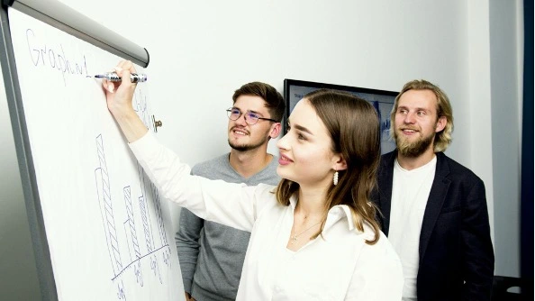 risk based audit