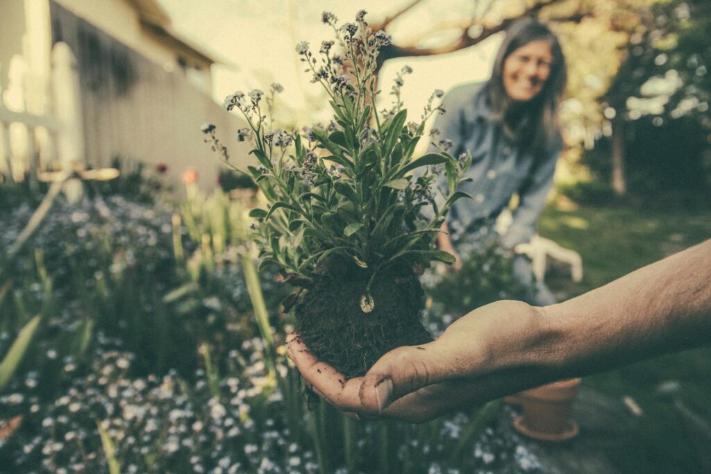 Plantation Audit Application