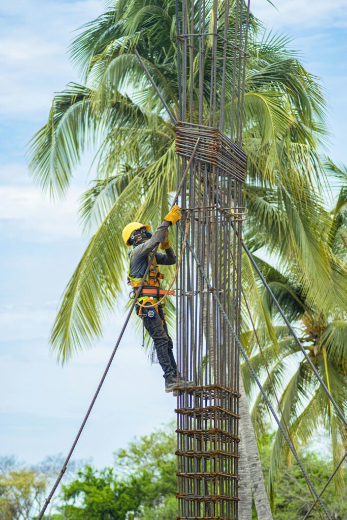 Worker harvesting palm oil plantation produce