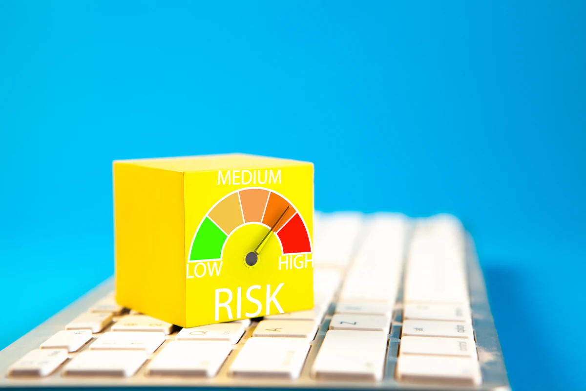 Risk-based audit software